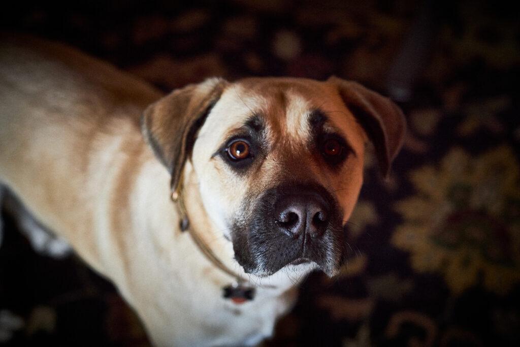 High voltage 1024x683